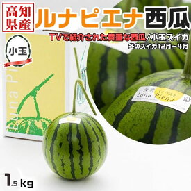 冬のスイカ　高知県産 ルナピエナ 西瓜 約 1.5kg 以上　小玉　夜空　段ボール箱入り【高知県産】お歳暮・クリスマス　ギフト・お正月・すいかギフト・送料無料