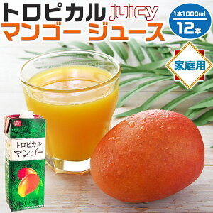 gsJ }S[ W[X 2P[X(6{) Zbg v12{(1{F1000ml) ʕW[X@̓ yY ƒւ̃Mtg 