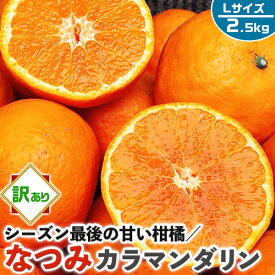 【最大2000円OFFクーポン】なつみ　みかん　訳あり 2.5kg　Lサイズ (カラマンダリンからの交配種)【愛媛県産】高糖度 柑橘【シーズン最後の甘い系みかん】果物・フルーツ・家庭用ギフト・プレゼント・送料無料