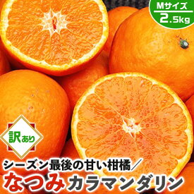 なつみ　みかん　訳あり 2.5kg　Mサイズ (カラマンダリンからの交配種)【愛媛県産】高糖度 柑橘【シーズン最後の甘い系みかん】果物・フルーツ・家庭用ギフト・プレゼント・送料無料