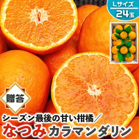 なつみ　みかん　秀品・贈答用　24玉 Lサイズ (カラマンダリンからの交配種)【愛媛県産】高糖度 柑橘【シーズン最後の甘い系みかん】果物・フルーツ・家庭用ギフト・プレゼント・送料無料