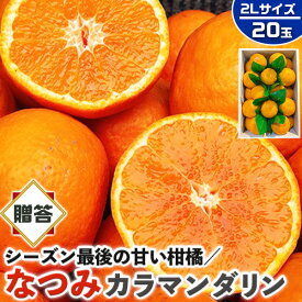 なつみ　みかん　秀品・贈答用　20玉 2Lサイズ (カラマンダリンからの交配種)【愛媛県産】高糖度 柑橘【シーズン最後の甘い系みかん】果物・フルーツ・家庭用ギフト・プレゼント・送料無料