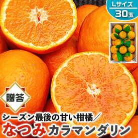 なつみ　みかん　秀品・贈答用　30玉 Lサイズ (カラマンダリンからの交配種)【愛媛県産】高糖度 柑橘【シーズン最後の甘い系みかん】果物・フルーツ・家庭用ギフト・プレゼント・送料無料