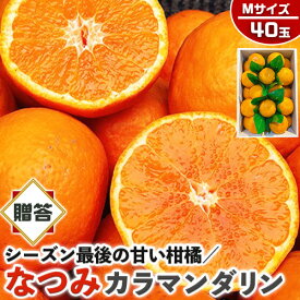 なつみ　みかん　秀品・贈答用　40玉 Mサイズ (カラマンダリンからの交配種)【愛媛県産】高糖度 柑橘【シーズン最後の甘い系みかん】果物・フルーツ・家庭用ギフト・プレゼント・送料無料