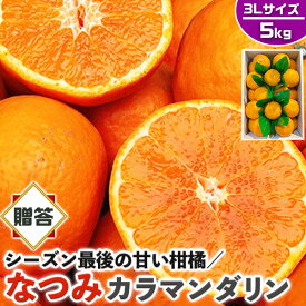 なつみ　みかん　秀品・贈答用　5kg 3Lサイズ (カラマンダリンからの交配種)【愛媛県産】高糖度 柑橘【シーズン最後の甘い系みかん】果物・フルーツ・家庭用ギフト・プレゼント・送料無料