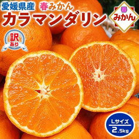 【最大2000円OFFクーポン】みかん カラマンダリン 訳あり 2.5kg　Lサイズ 【愛媛県産】高糖度 柑橘　果物・家庭用・母の日・フルーツ・ギフト・プレゼント・送料無料