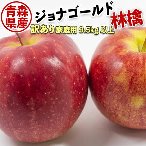 ő2000~N[| 󂠂 X WiS[h 9.5kg`10kg(10Lɋl߂)y퉷֎wzь xۏ ƒpMtg@ʕ@t[c XY ̓ɂ@@