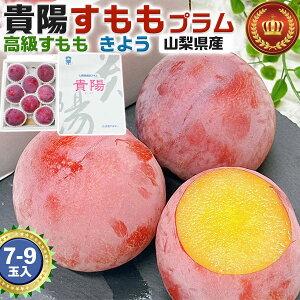  Mtg  v Mz 悤 RY Mz 1 7-9ʓ p Ղށ@ ʕ@ t[c@@v[g@@