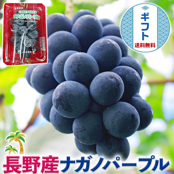 楽天市場】長野県産 ナガノパープル 1房入 350g JA正規品(家庭用) 葡萄  