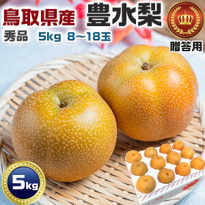 挧Y  Gi L@5kg 8`18 p@ni{[@x߂̉ăMtgExĂ߂˂EhV̓EMtgE