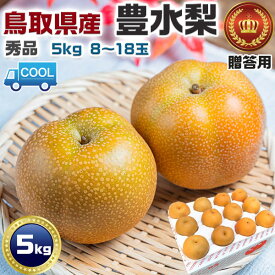 【クール便指定】鳥取県産 梨 秀品 豊水　5kg 8〜18玉 贈答用　無地段ボール　遅めの夏ギフト・遅れてごめんねお中元・敬老の日・ギフト・送料無料