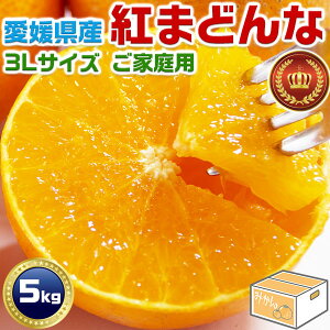 g܂ǂȁ@5kg@3LTCY ƒp@݂@QY JA̐Ki(28) xEJAIʁyQYEg}hizΕEENX}XGIFT@v[g@~Mtg@y11