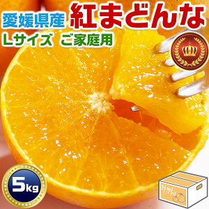 g܂ǂȁ@5kg@LTCY@ƒp@݂@QY JA̐Ki(28) xEJAIʁyQYEg}hizΕEENX}XGIFT@v[g@~Mtg@y11