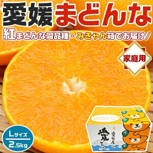 愛媛まどんな (紅まどんな 同品種) アイカ みきゃん箱 Lサイズ 2.5kg JAの正規品(あいか/ 愛果28号) ご家庭用 高糖度・JA選果【愛媛県産・紅マドンナと同じ品種・お買い得用】お歳暮・お正月