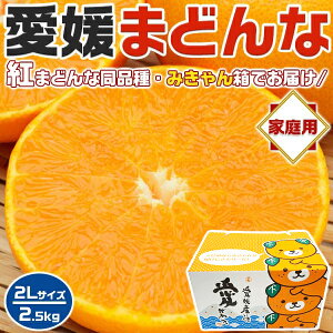 愛媛まどんな (紅まどんな 同品種) アイカ みきゃん箱 2Lサイズ 2.5kg JAの正規品(あいか/ 愛果28号) ご家庭用 高糖度・JA選果【愛媛県産・紅マドンナと同じ品種・お買い得用】お歳暮・お正月