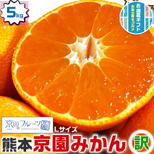 ݂ 5kg 󂠂 Zn ݂ LTCY F{Y ݂  k@t[c@ΕEENX}XMtgE