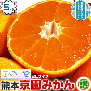 みかん 5kg箱(4.5kg) 訳あり 特濃完熟 京園みかん 2Lサイズ 熊本県産 みかん お試し 柑橘 フルーツ お歳暮・お正月・クリスマスギフト・送料無料