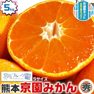 ݂ 5kg Gi Zn ݂ STCY F{Y ݂  k@Git[c@ΕEENX}XMtgE