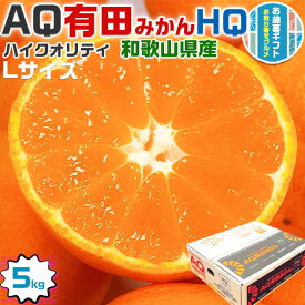 最大2000円クーポン◆お歳暮 ギフト AQ 有田 みかん HQ (ハイクオリティ) Lサイズ 5kg【有田認定・味一がリニューアル】高級みかん・贈答用　JAありだ・ありだ共選【和歌山県産・贈答用】送料無料　AQ有田 QUALITY認定