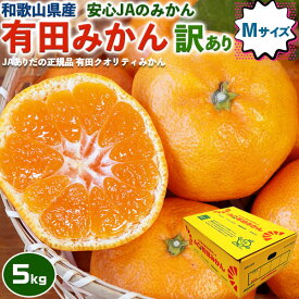最大2000円クーポン◆有田 みかん 家庭用 5kg箱 Mサイズ JAありだ AQ (有田クオリティ) 和歌山県産 傷あり JAの正規品 AQ・送料無料