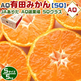 最大2000円クーポン◆AQ 有田 みかん SQ (スペシャルクオリティ)　小玉　Sサイズ 5kg【有田認定】高級・贈答用　JAありだ・AQ選果場【和歌山県産・贈答用】・送料無料 有田QUALITY