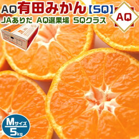 最大2000円クーポン◆AQ 有田 みかん SQ (スペシャルクオリティ)　Mサイズ 5kg【有田認定】高級・贈答用　JAありだ・AQ選果場【和歌山県産・贈答用】・送料無料　有田QUALITY認定