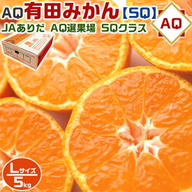 最大2000円クーポン◆AQ 有田 みかん SQ (スペシャルクオリティ)　Lサイズ 5kg【有田認定】高級・贈答用　JAありだ・AQ選果場【和歌山県産・贈答用】・送料無料 有田QUALITY認定