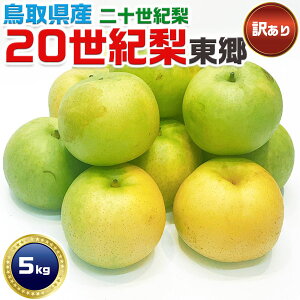20I   󂠂 挧Y \I 5Kg@uh ƒp @ƒpMtgy\z2025N9{ȍ~̏oח\@