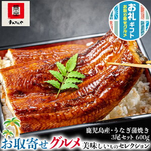 ギフト うなぎ まんてんや 国産 鹿児島 うなぎ蒲焼き 3尾セット 600g 送料無料 鹿児島県産 ウナギ 母の日 父の日  お中元 プレゼント 海産物 鰻
