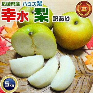 K 茧Y nEX K@󂠂 5Kg ƒp Ȃ  iV@ƒp@ni{[@ăMtg EƒpMtg@