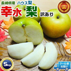 yN[֎wzK 茧Y nEX K@󂠂 5Kg ƒp Ȃ  iV@ƒp@ni{[@ăMtg EƒpMtg@