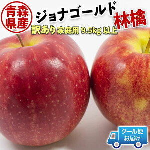 ő2000~N[| 󂠂 X WiS[h 9.5kg`10kg(10Lɋl߂)yN[֎wzь xۏ ƒpMtg@ʕ@t[c XY ̓ɂ@@