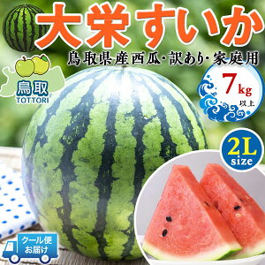 ���挧�Y�@��h�������@��h���Z 2L�T�C�Y 7kg�ȏ�@�󂠂� �y�N�[���֎w��z�E�ƒ�p(�����p�Ɠ������x)�@�i�{�[��������y���挧�Y���Z�z�������E�ƒ�p�E�������M�t�g�E��������