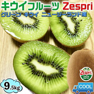 LECt[c [Xv O[ LEB LECyN[֎wz9.5kg@唠@85-104ʓ [Xv@Zespri Kiwi Fruit j[W[hY@ƒpMtgEEkiwi KIWIEƒp@