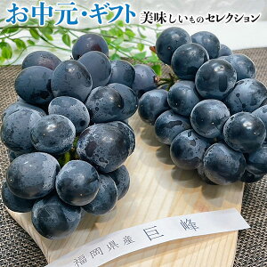 @Ԃǂ  ق Y  2[ 600g (300g × 2) Mtg 䒆 Ԃǂ ق N[ց@hV̓EEMtgE