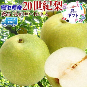 ő2000~N[|挧Y  Gi 20I@5kg 10`16ʓ pyN[֎wz@x߂̉ăMtgExĂ߂˂EhV̓EMtgE