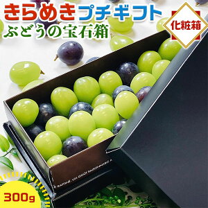 ő2000~N[| Ԃǂ t[cMtg ߂v`Mtg 300g ϔ Ԃǂ̕Δ WG{bNX VC}XJbg  sI[l  R R@ăMtgɂ N[