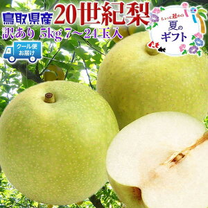 ő2000~N[|挧Y  󂠂 20I@5kg 7`24ʓyN[֎wzƒp@@x߂̉ăMtgExĂ߂˂EhV̓EƒpEMtgE