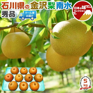  쐅 5kg 8-20ʓ@Gi@iyN[֎wzΐ쌧Y@uh@H̉ʕ@t[c@ƒpMtg 