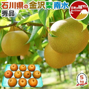  쐅 5kg 8-20ʓ@Gi@i@ΐ쌧Y@uh@H̉ʕ@t[c@ƒpMtg 