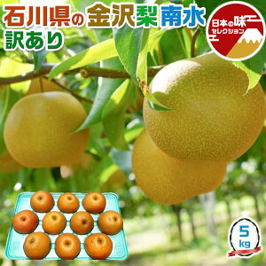 󂠂  쐅 5kg 8-20ʓ ƒp@ΐ쌧Y@uh@H̉ʕ@t[c@ƒpMtg 