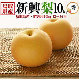 挧Y  V Gi 10kg 12`36 p@H̃MtgEΕẼiVE