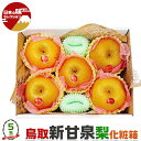 【クール便指定】鳥取県産 梨 新甘泉梨 秀品 貯蔵蔵出し 化粧箱　大玉 5玉入 糖度14度前後 贈答用【しんかんせん鳥取…
