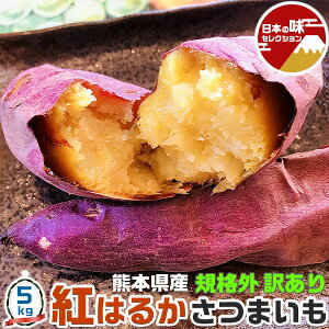 訳あり 紅はるか さつまいも 5kg 中-大サイズ 10-45本入 傷あり規格外・ご家庭用 熊本県産 甘い さつま芋 生芋 箱買い 野菜 焼き芋にもOK 送料無料