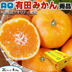 Lc݂ Gi 2LTCY 4.5kg Â AQ a̎RY p(AQIʏELc)@JA肾̐Ki Ε Mtg@t[c@NX}X@ʕ@