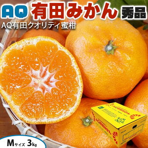 Lc݂ Gi MTCY 3kg Â AQ a̎RY p(AQIʏELc)@JA肾̐Ki Ε Mtg@t[c@NX}X@ʕ@