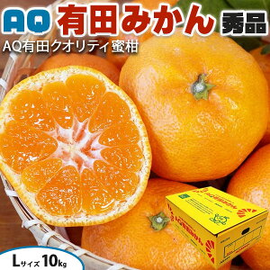 Lc݂ Gi LTCY 10kg Â AQ a̎RY p(AQIʏELc)@JA肾̐Ki Ε Mtg@t[c@NX}X@ʕ@