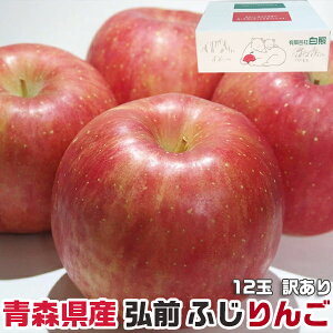  󂠂 OO ӂ 12 󂠂 ƒp  TCYC XYbSDGS ƑEƒΕMtgENX}X̐HɁE