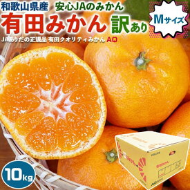 有田 みかん 訳あり (茶箱) 家庭用 10kg (10キロ) Mサイズ JAありだ AQ (有田クオリティ) 和歌山県産 傷多め JA正規品 AQ選果場 家庭向け お歳暮　送料無料
