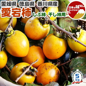  ` ( a` ) ` 邵` ` p S-2LTCY 5kg yQ  쌧Yz yoדCEwszƒp 